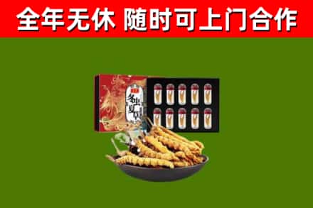 龙湖回收冬虫夏草价格